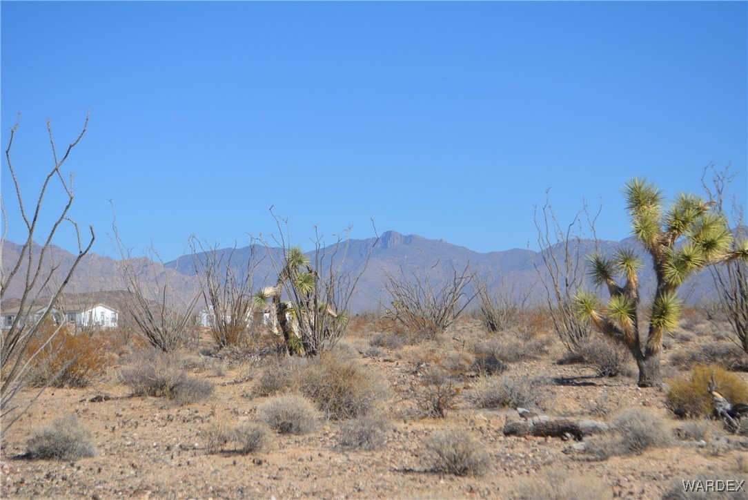 245-24-107 South Rainbow Road Yucca, AZ 86438 - Photo 10 of 91