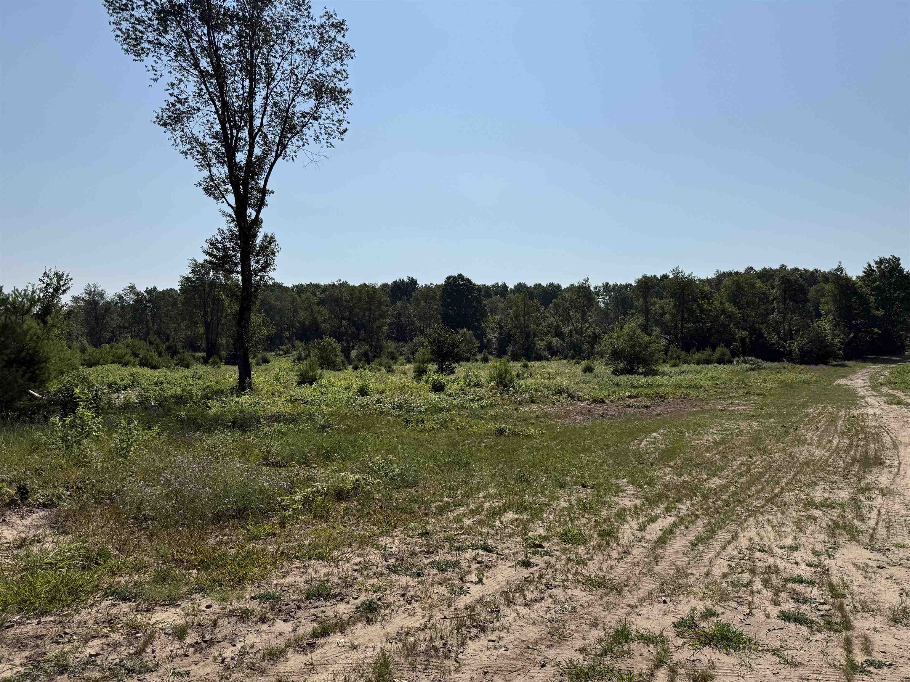 8 South Bright Road, Unit LOT: A8 Traverse City, MI 49684 - Photo 2 of 11