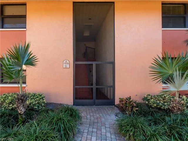 a potted plant in front of a door
