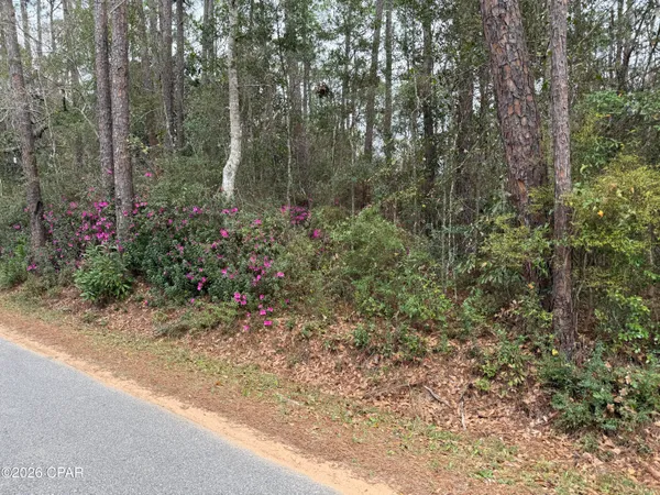 $75,000 | 0 Petersen Point Road, Milton, FL 32583