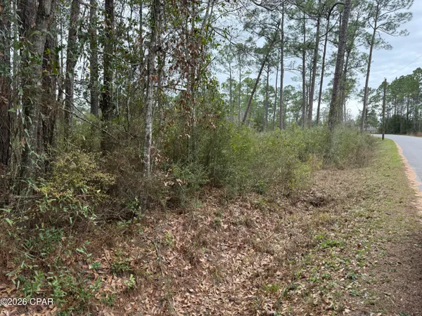 $75,000 | 0 Petersen Point Road, Milton, FL 32583