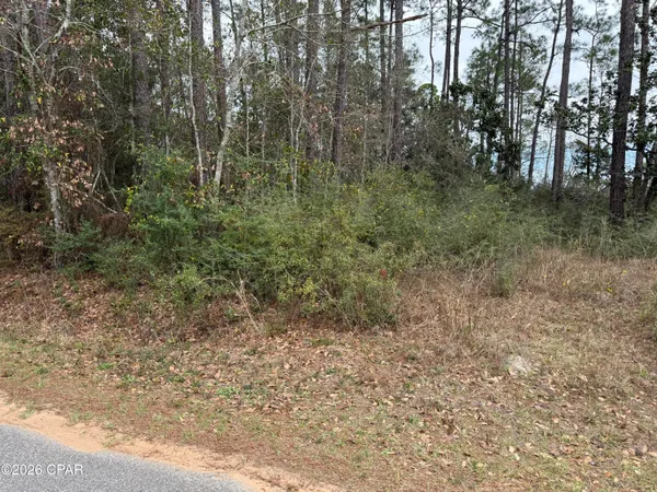 $75,000 | 0 Petersen Point Road, Milton, FL 32583