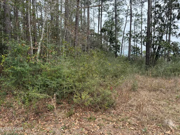 $75,000 | 0 Petersen Point Road, Milton, FL 32583