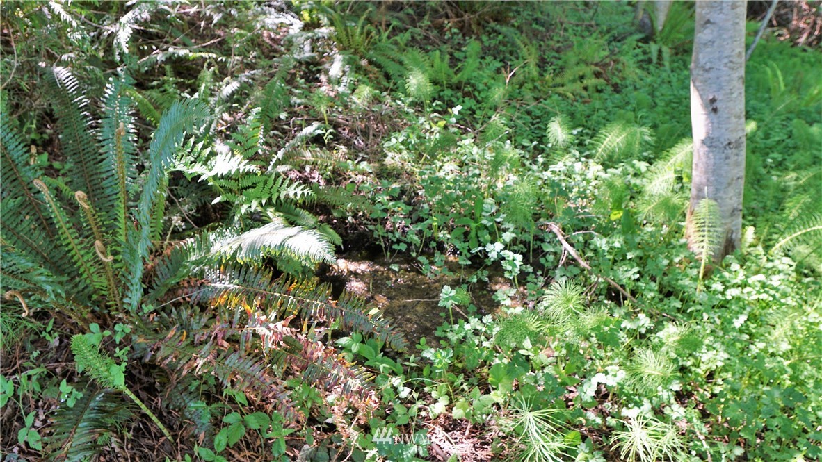 0 West Arnette Road Port Angeles, WA 98362 - Photo 11 of 12 Gallery Image 11