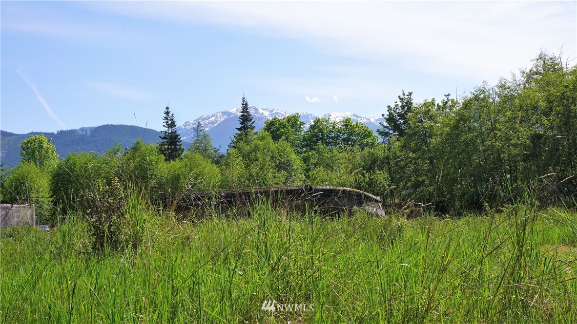 0 West Arnette Road Port Angeles, WA 98362 - Photo 3 of 12 Gallery Image 3