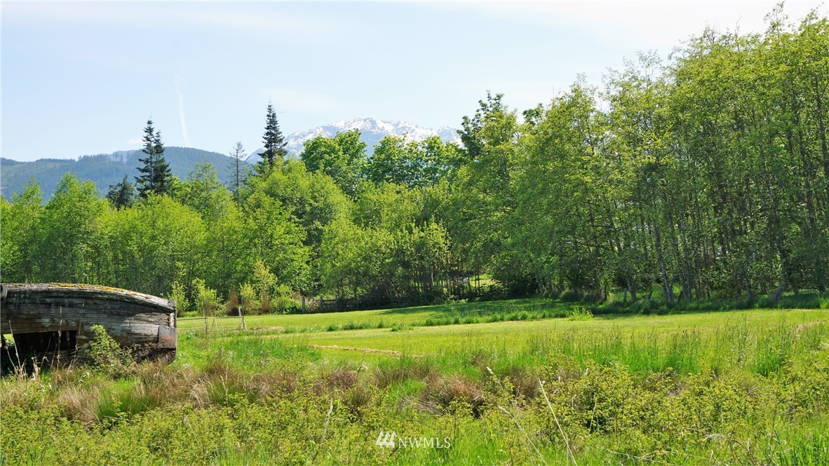 0 West Arnette Road Port Angeles, WA 98362 - Photo 4 of 12 Gallery Image 4