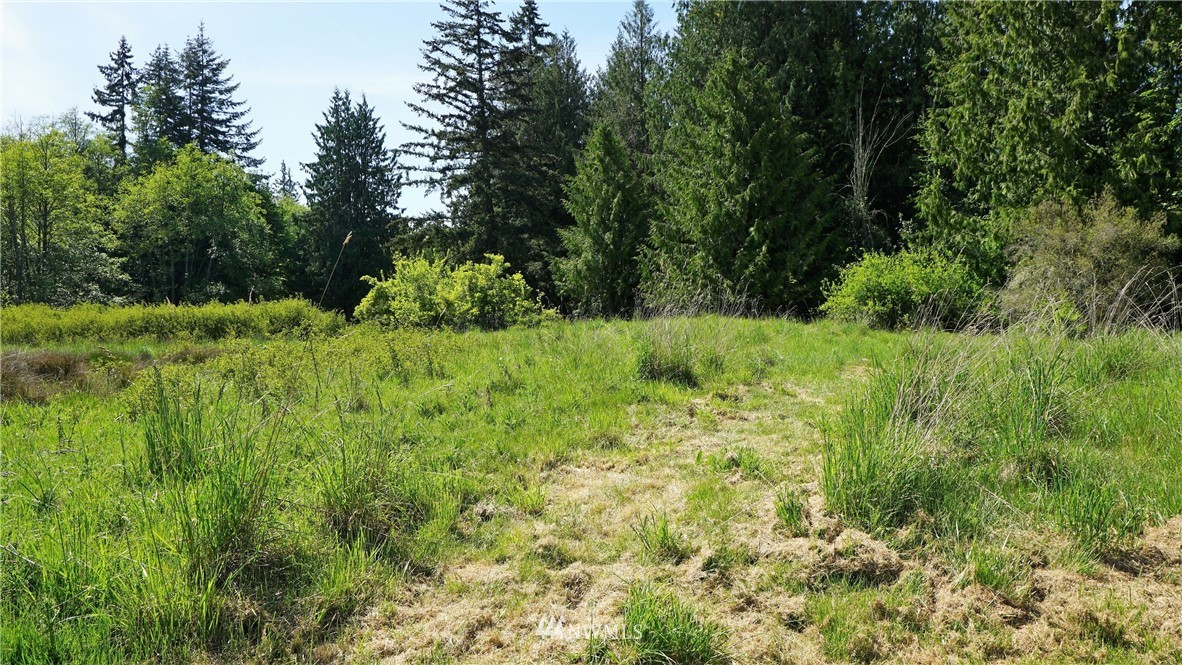 0 West Arnette Road Port Angeles, WA 98362 - Photo 6 of 12 Gallery Image 6