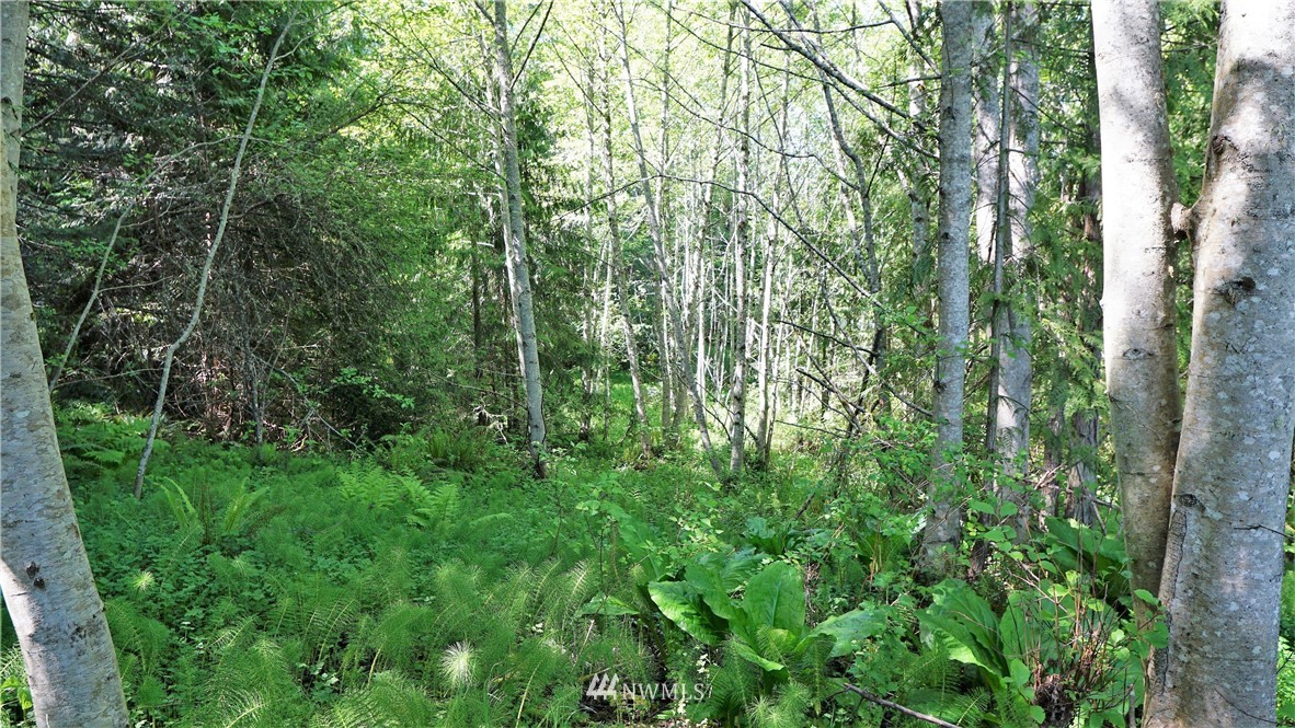0 West Arnette Road Port Angeles, WA 98362 - Photo 8 of 12 Gallery Image 8