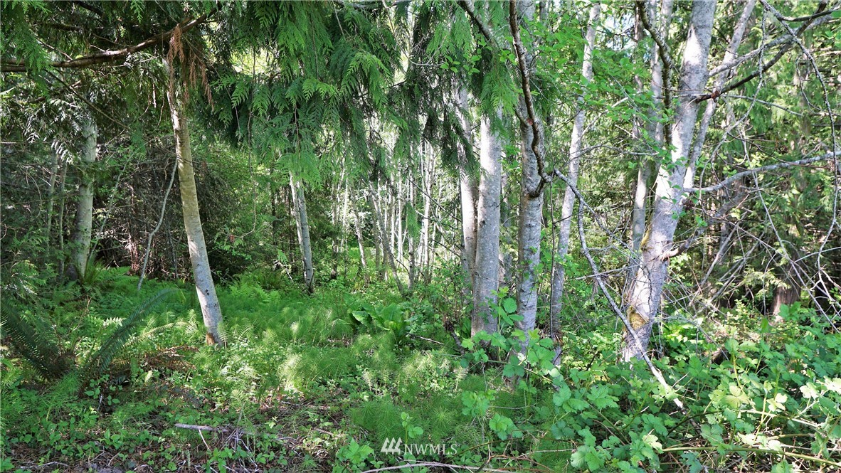 0 West Arnette Road Port Angeles, WA 98362 - Photo 9 of 12 Gallery Image 9