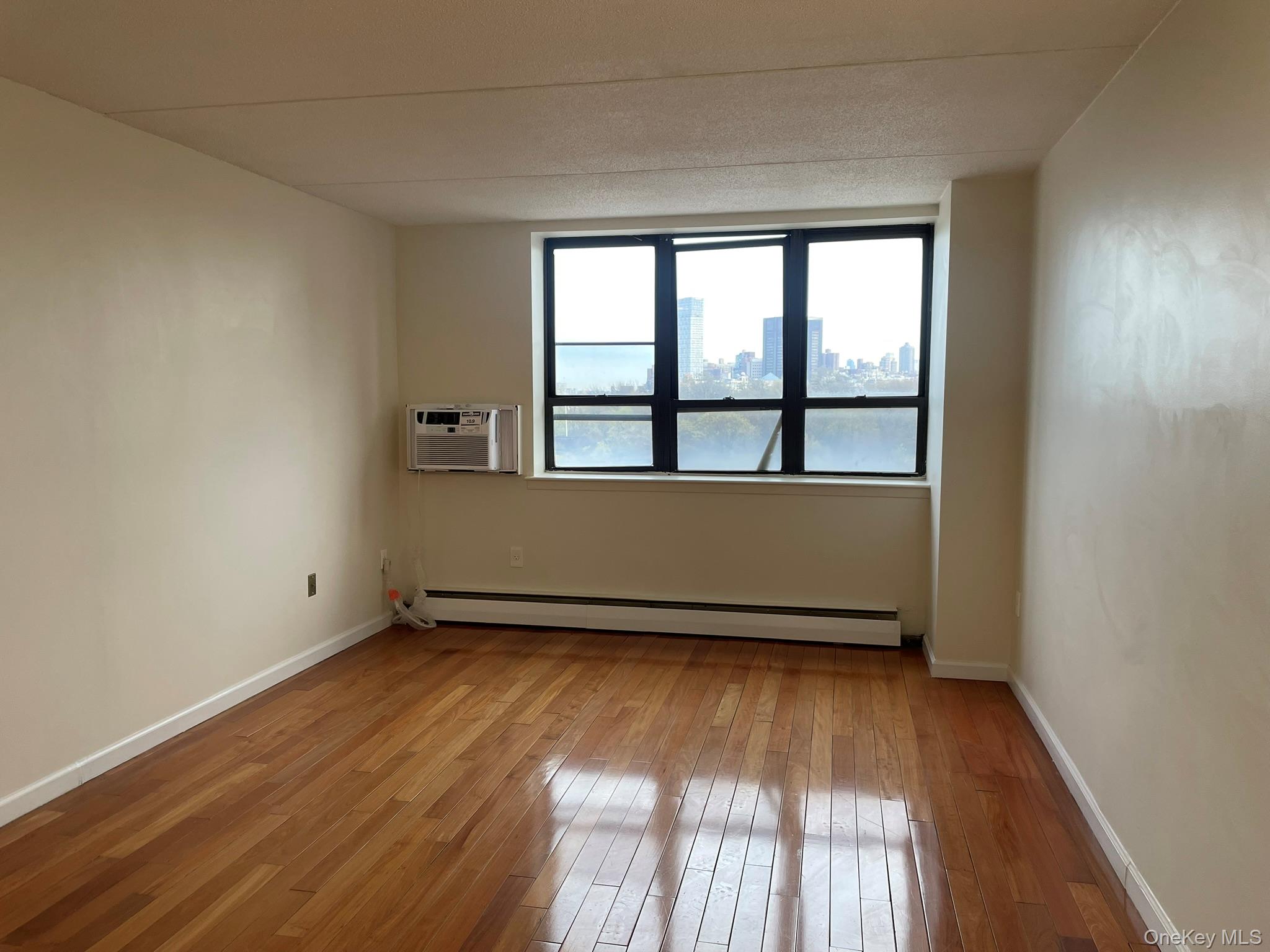 301 West 110th Street, Unit 14F Manhattan, NY 10026 - Photo 8 of 18 Living room with a baseboard radiator, a wall unit AC, hardwood / wood-style floors, and baseboards