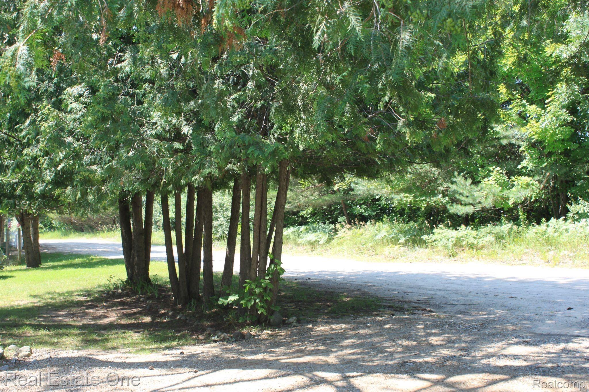 5475 North Cedar River Road Gladwin, MI 48624 - Photo 60 of 64 west side of drive.JPG