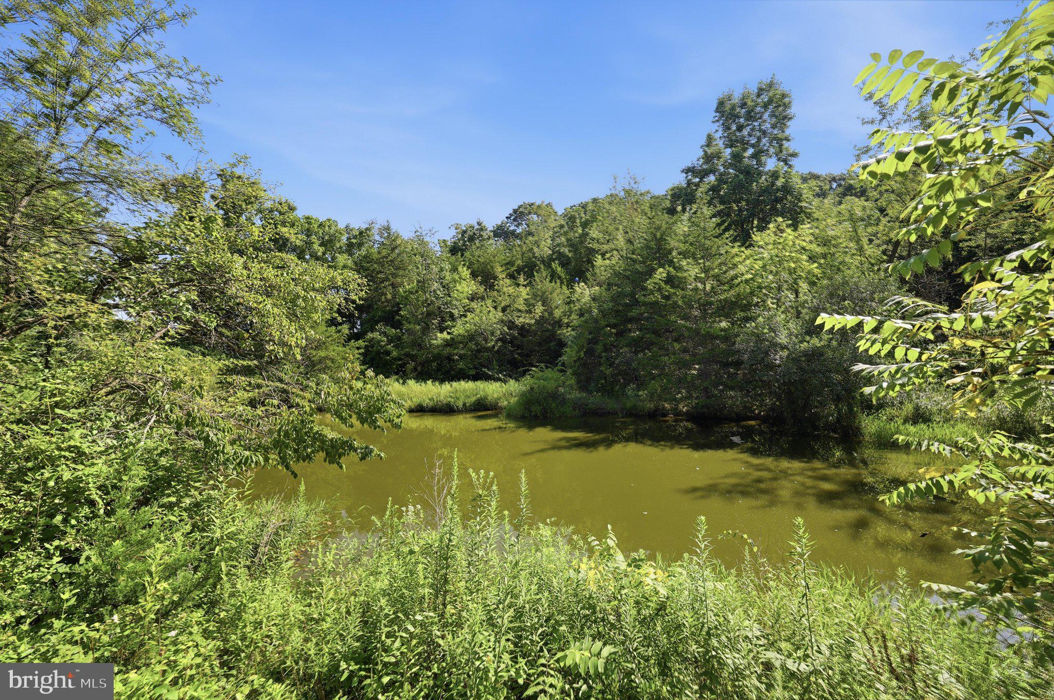 11801 Warner Road Keymar, MD 21757 - Photo 6 of 71 Pond