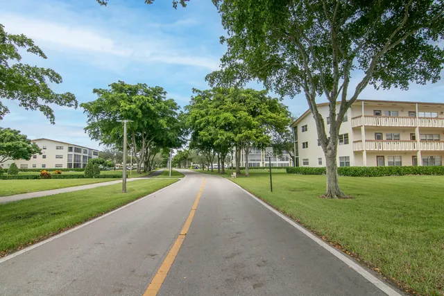 a view of a park with a large trees