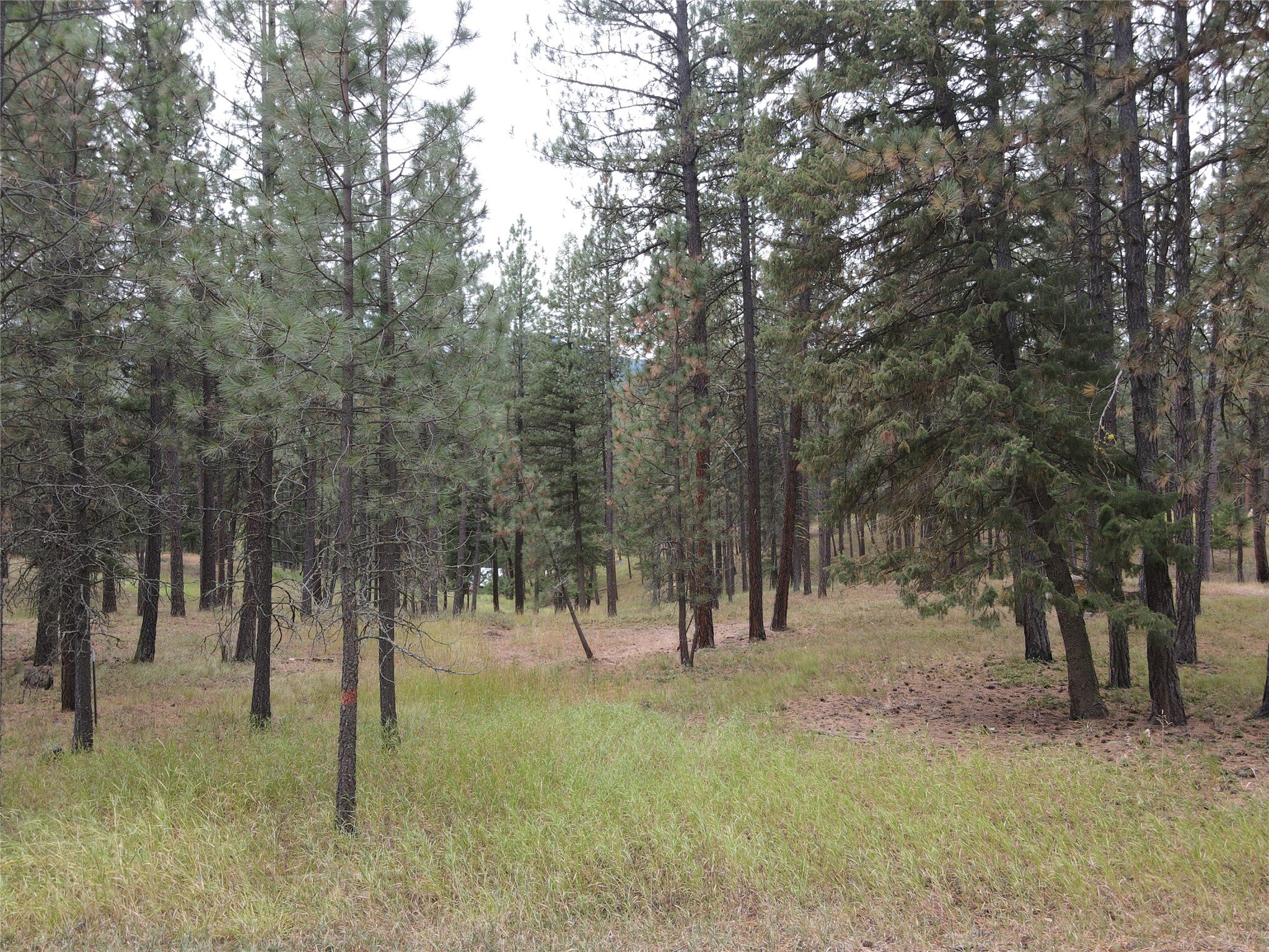 21481 9 Mile Road Huson, MT 59846 - Photo 38 of 43 Gallery Image 38