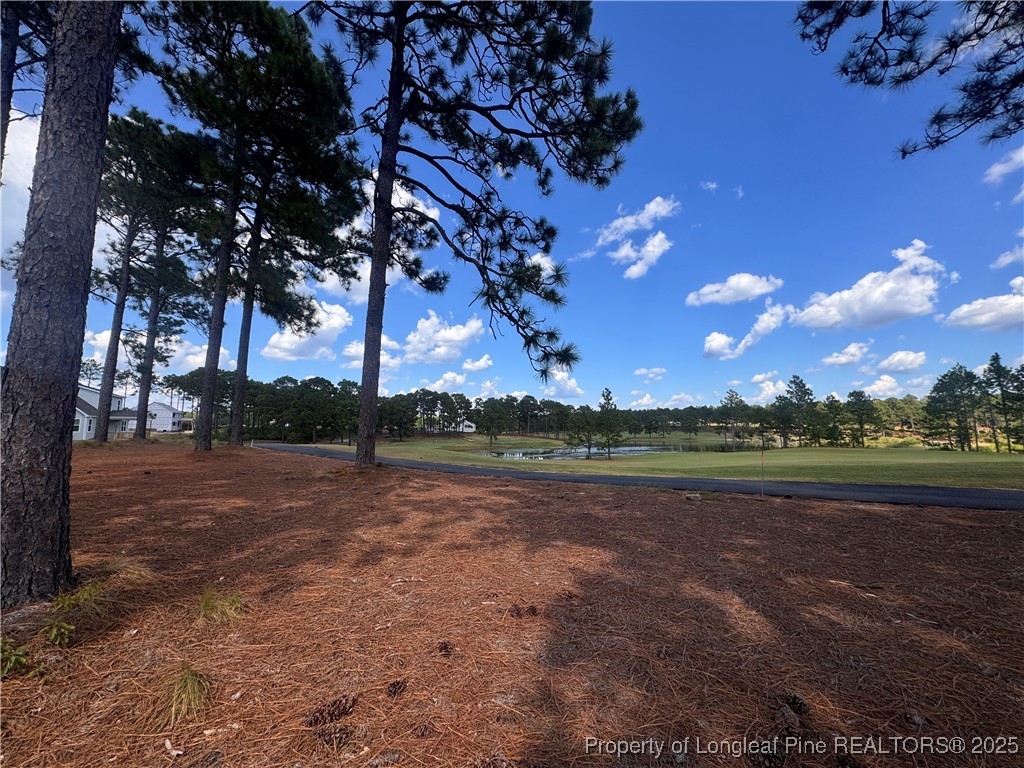 653 Watauga Lane Aberdeen, NC 28315 - Photo 11 of 38 a view of outdoor space with green space