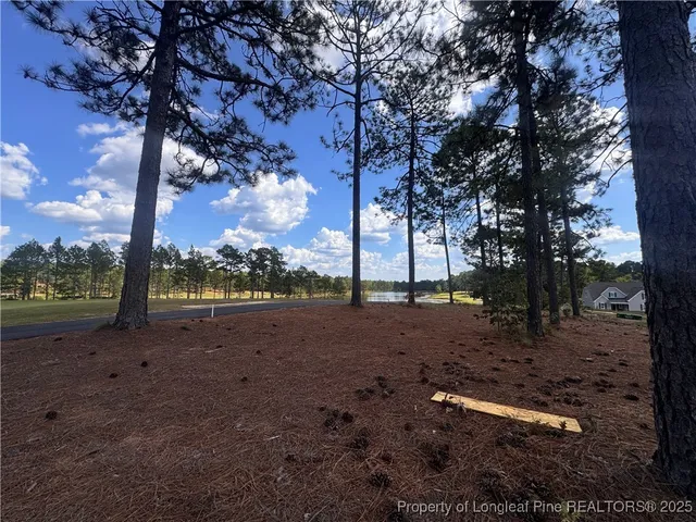 a view of dirt yard with a tree