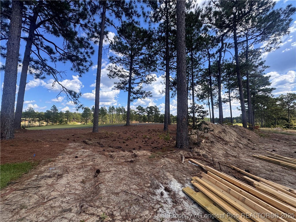 653 Watauga Lane Aberdeen, NC 28315 - Photo 8 of 38 a view of a yard with plants and trees