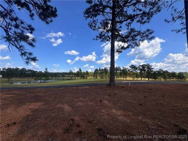 a view of dirt field with large trees