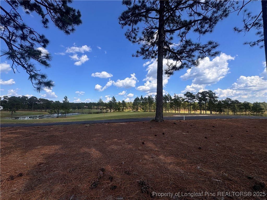 653 Watauga Lane Aberdeen, NC 28315 - Photo 10 of 38 a view of dirt field with large trees