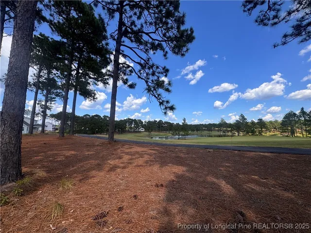 a view of outdoor space with green space