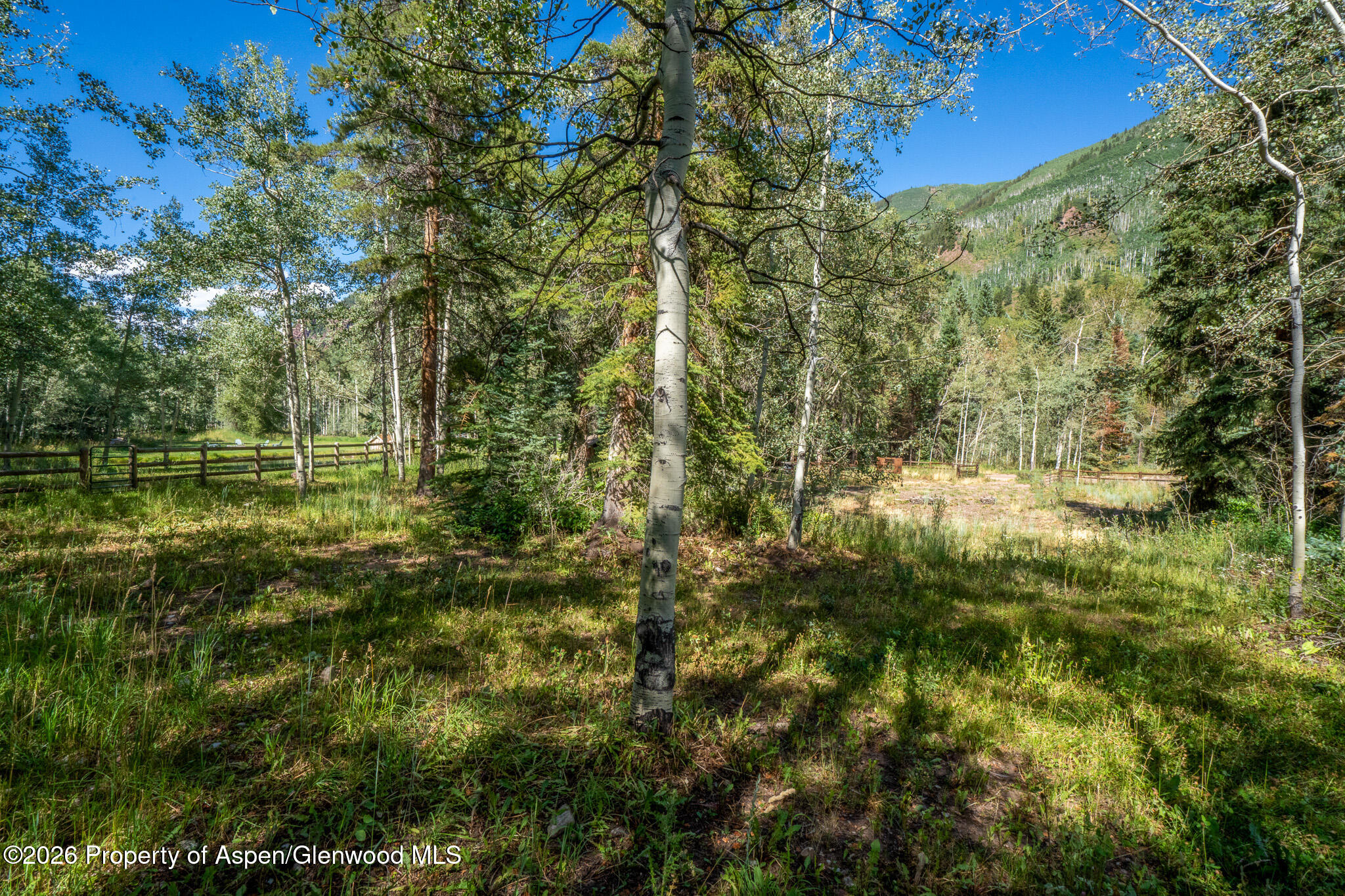 285 Conundrum Creek Road Aspen, CO 81611 - Photo 35 of 35 a view of a yard with a tree