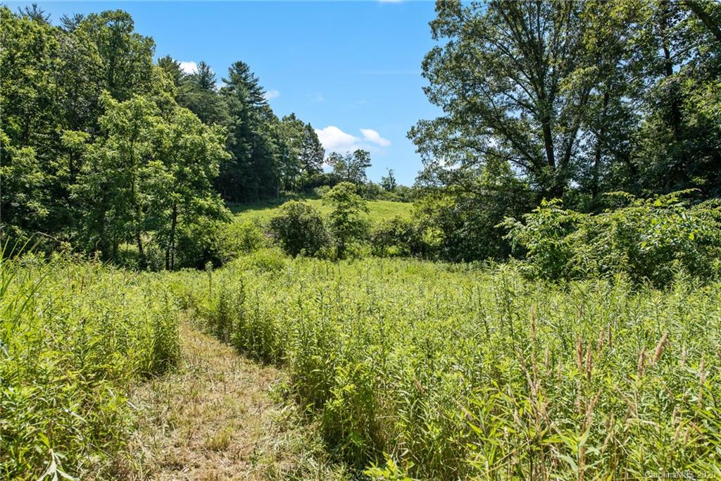 898 Jupiter Road Weaverville, NC 28787 - Photo 25 of 25 Gallery Image 25