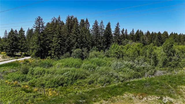 a view of a green field with lots of bushes