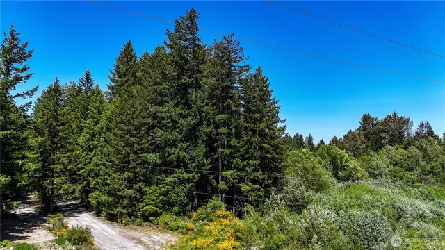 a view of a large yard with lots of green space