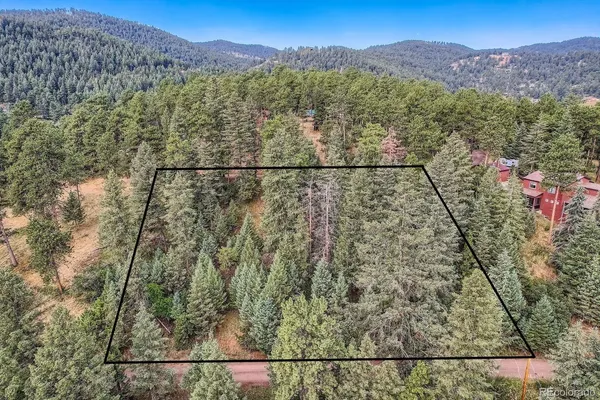 a view of a forest