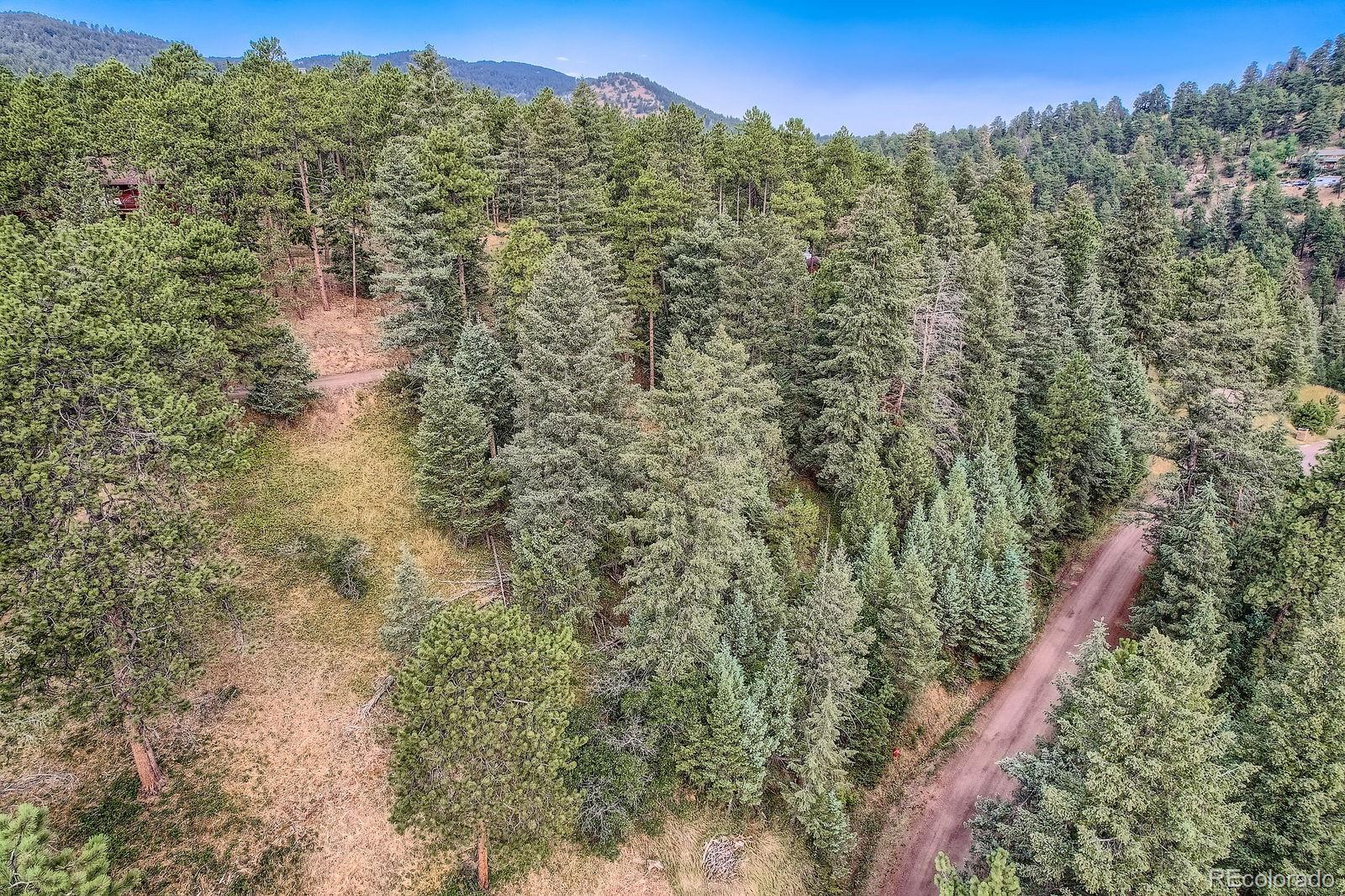 5296 Cherokee Road Indian Hills, CO 80454 - Photo 16 of 26 a view of a forest with a forest