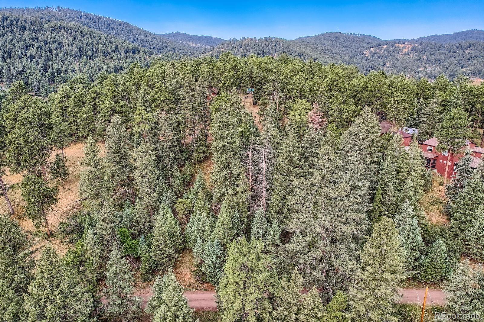 5296 Cherokee Road Indian Hills, CO 80454 - Photo 21 of 26 a view of a forest with a mountain