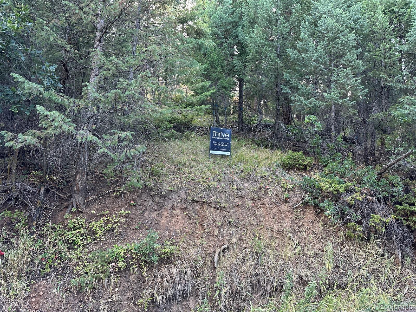 5296 Cherokee Road Indian Hills, CO 80454 - Photo 25 of 26 a view of a forest with trees