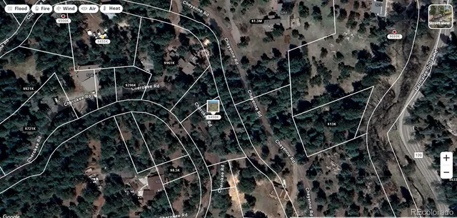 a close up of a plant