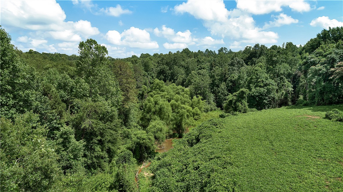 0 Olive Street Easley, SC 29640 - Photo 6 of 13