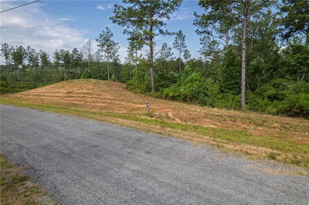 148 Eddy Waters Circle Talking Rock, GA 30175 - Photo 18 of 30 a view of a field with trees in the background