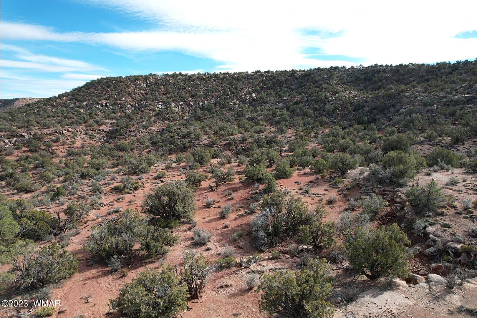 Tbd Yellow Rose Road Snowflake, AZ 85937 - Photo 2 of 14
