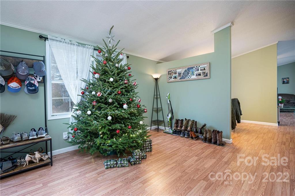 2776 Devine Road Iron Station, NC 28080 - Photo 3 of 23 a living room with furniture and a potted plant
