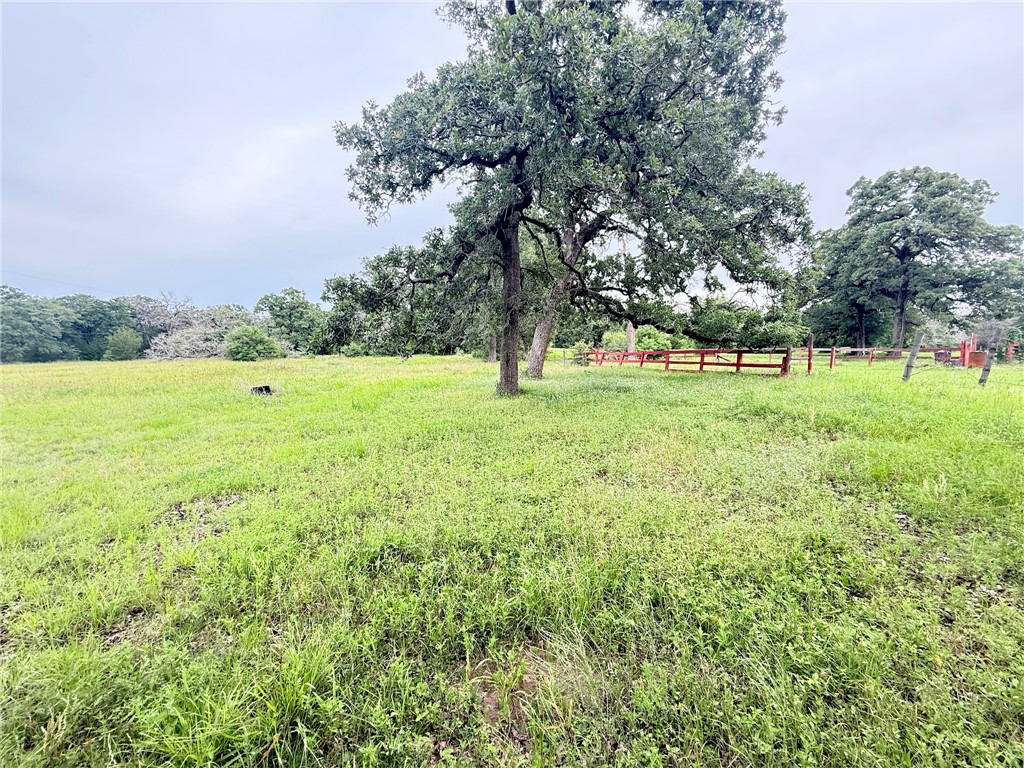 Tbd Wannabe Road Bryan, TX 77808 - Photo 4 of 42