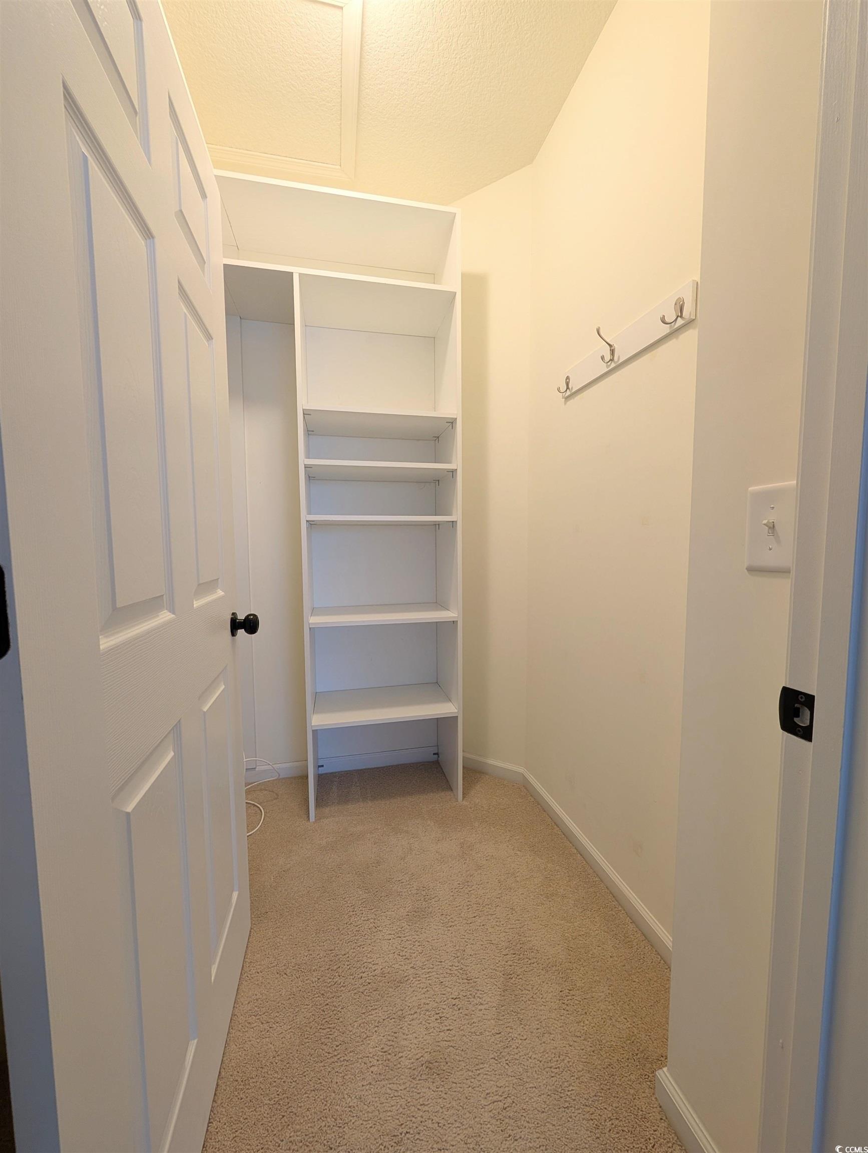 822 Sail Lane Murrells Inlet, SC 29576 - Photo 20 of 34 Spacious closet featuring light colored carpet