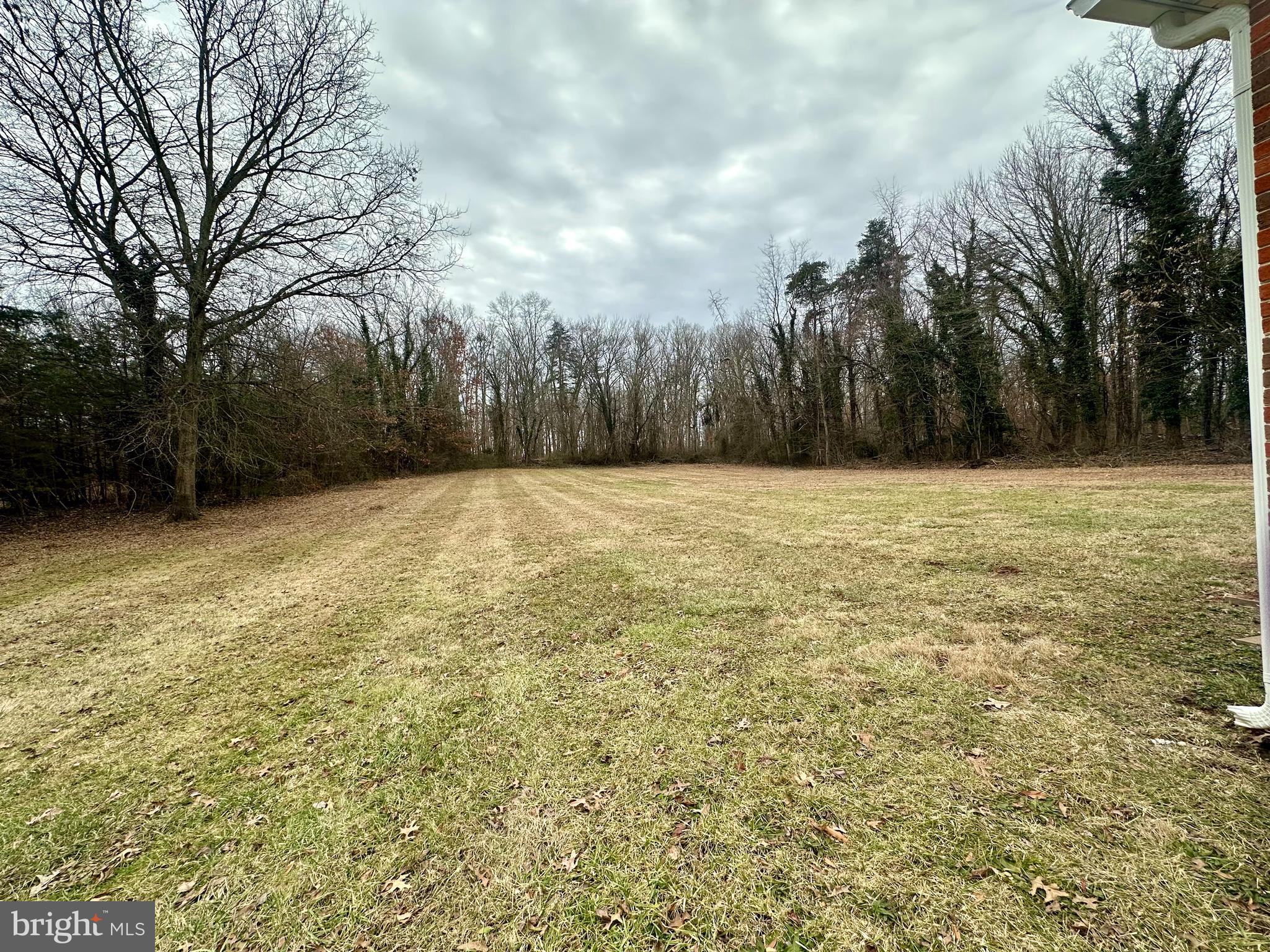 16138 Brandy Road Culpeper, VA 22701 - Photo 7 of 9 Large backyard