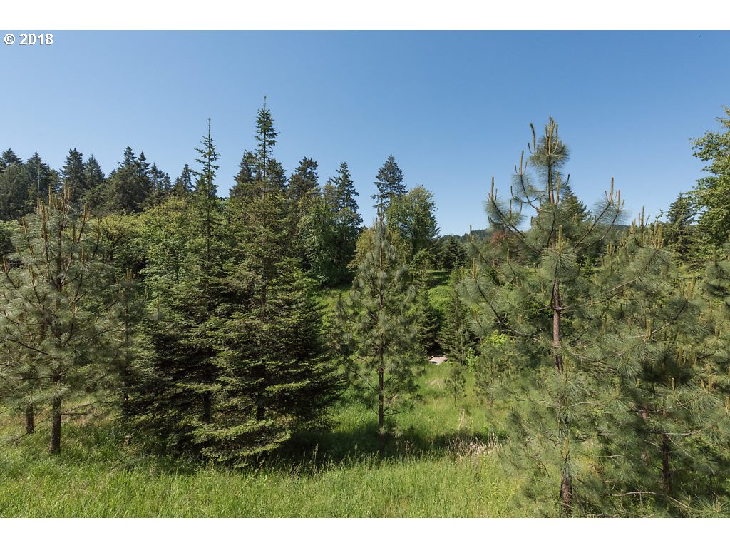 7137 Northeast Cross Creek Road Dundee, OR 97115 - Photo 24 of 32 Acreage