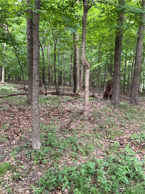 20847 900 North Road Georgetown, IL 61846 - Photo 26 of 31