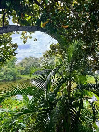 a view of a garden