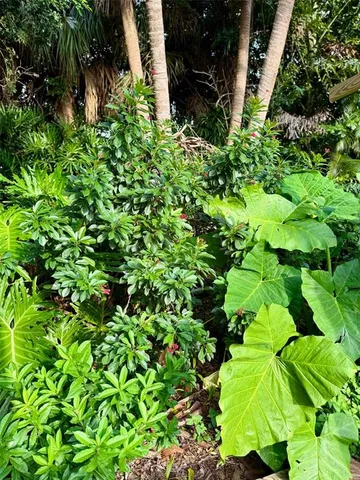 a view of livingroom with furniture