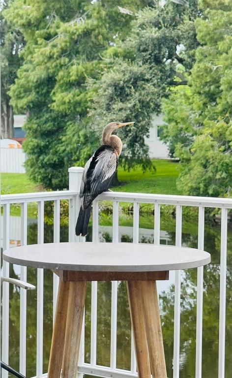 3012 Grand View Avenue Clearwater, FL 33759 - Photo 42 of 43 a balcony with wooden floor and fence