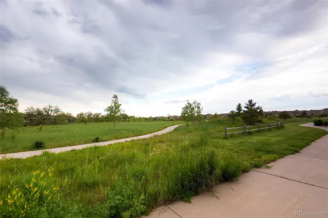 a view of a green field of grass and a lake view