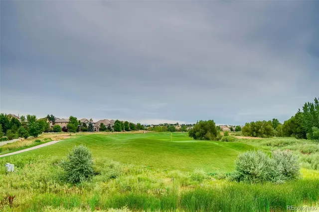 a view of a grassy field with trees