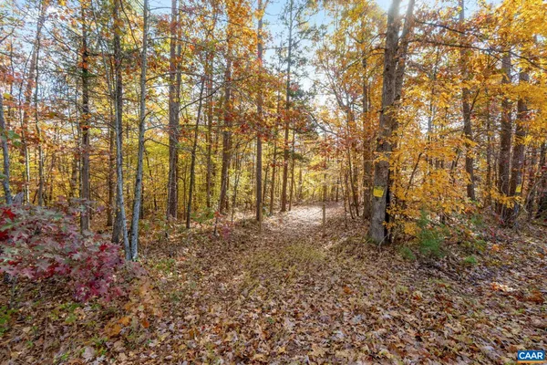 $99,900 | 0 Dell Perkins Road, Louisa, VA 23093