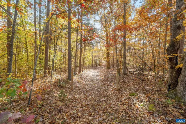 a view of covered with green space