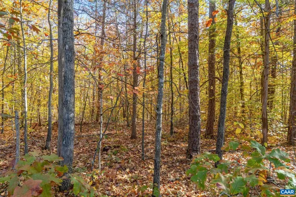 $99,900 | 0 Dell Perkins Road, Louisa, VA 23093